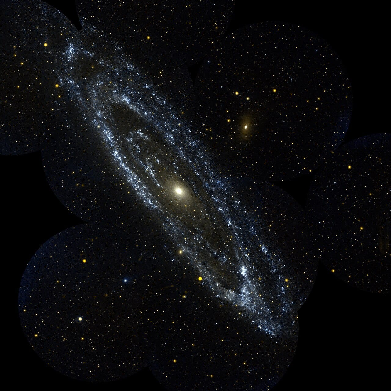 The Andromeda galaxy. Identifying variable stars within it established that it lies far beyond the Milky Way, which multiplied the known size of the universe.