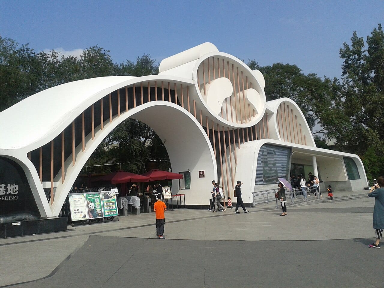 The Chengdu Research Base of Giant Panda Breeding. Captive breeding moved from near-total failure in the 1980s to a self-sustaining population, and the surplus now supports reintroduction trials.