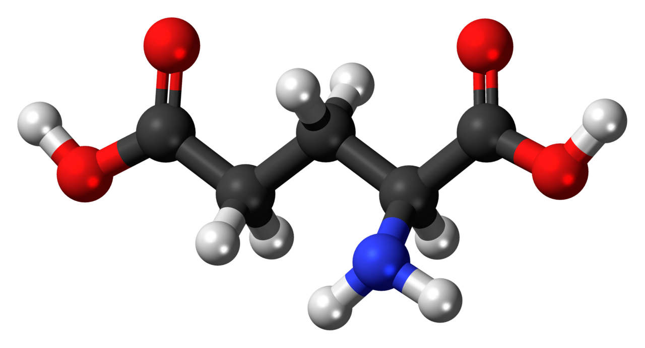Glutamate. Enhancing signalling at its receptor has been tested in over seventy placebo-controlled trials with inconsistent results.