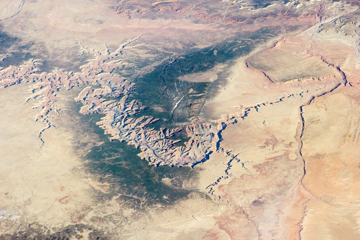 The Grand Canyon photographed from the International Space Station, its side canyons branching across the plateau. Credit: Astronaut photograph ISS039-E-5258; taken by the Expedition 39 crew of the International Space Station; (Public domain).
