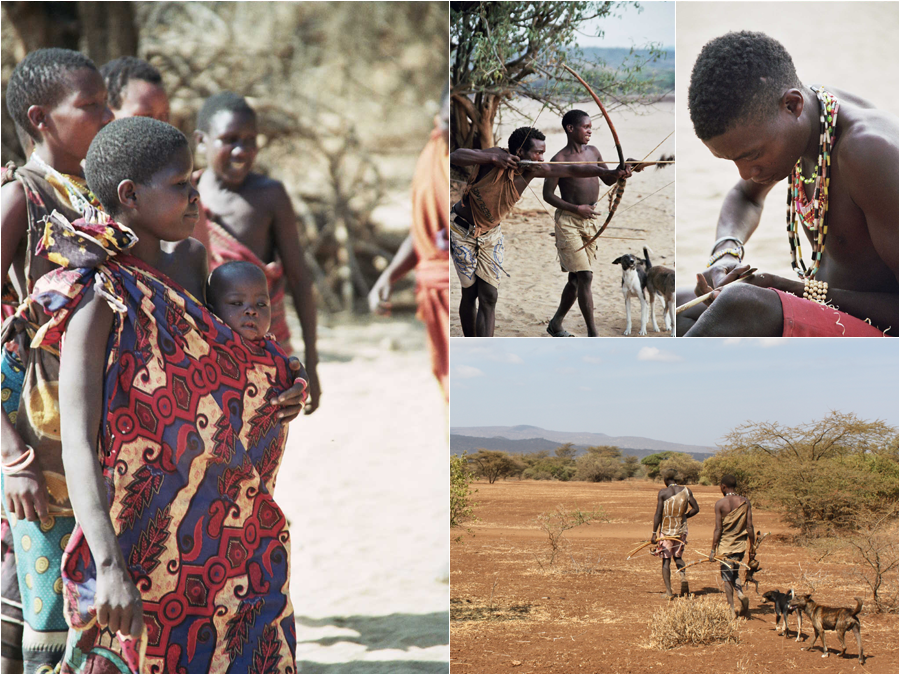 Hadza foragers of Tanzania. Fieldwork found older women foraging productively for tubers and directing the food to grandchildren, which is the observation the modern hypothesis was built from.