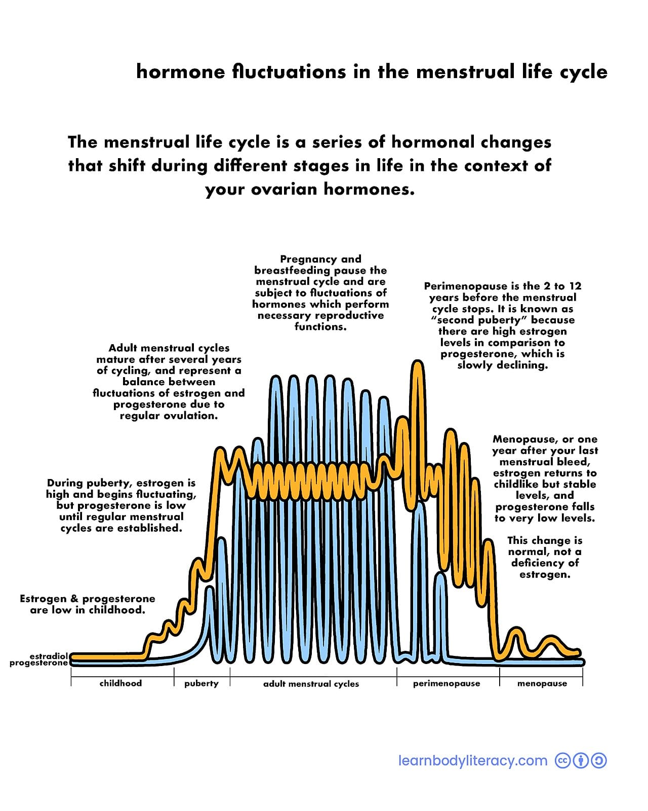 The reproductive lifespan. Human females become infertile around fifty and commonly live decades beyond it, which is a pattern with very few parallels among mammals.