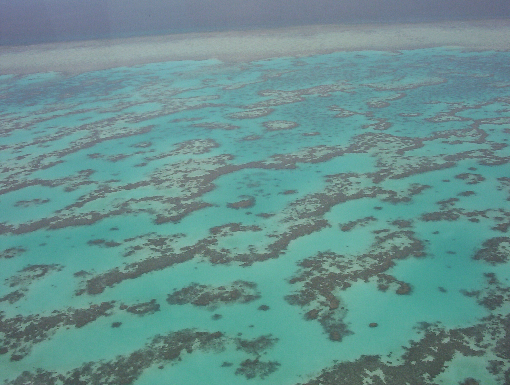 An aerial view over part of the Great Barrier Reef system. Credit: Unknown (CC BY-SA 3.0).