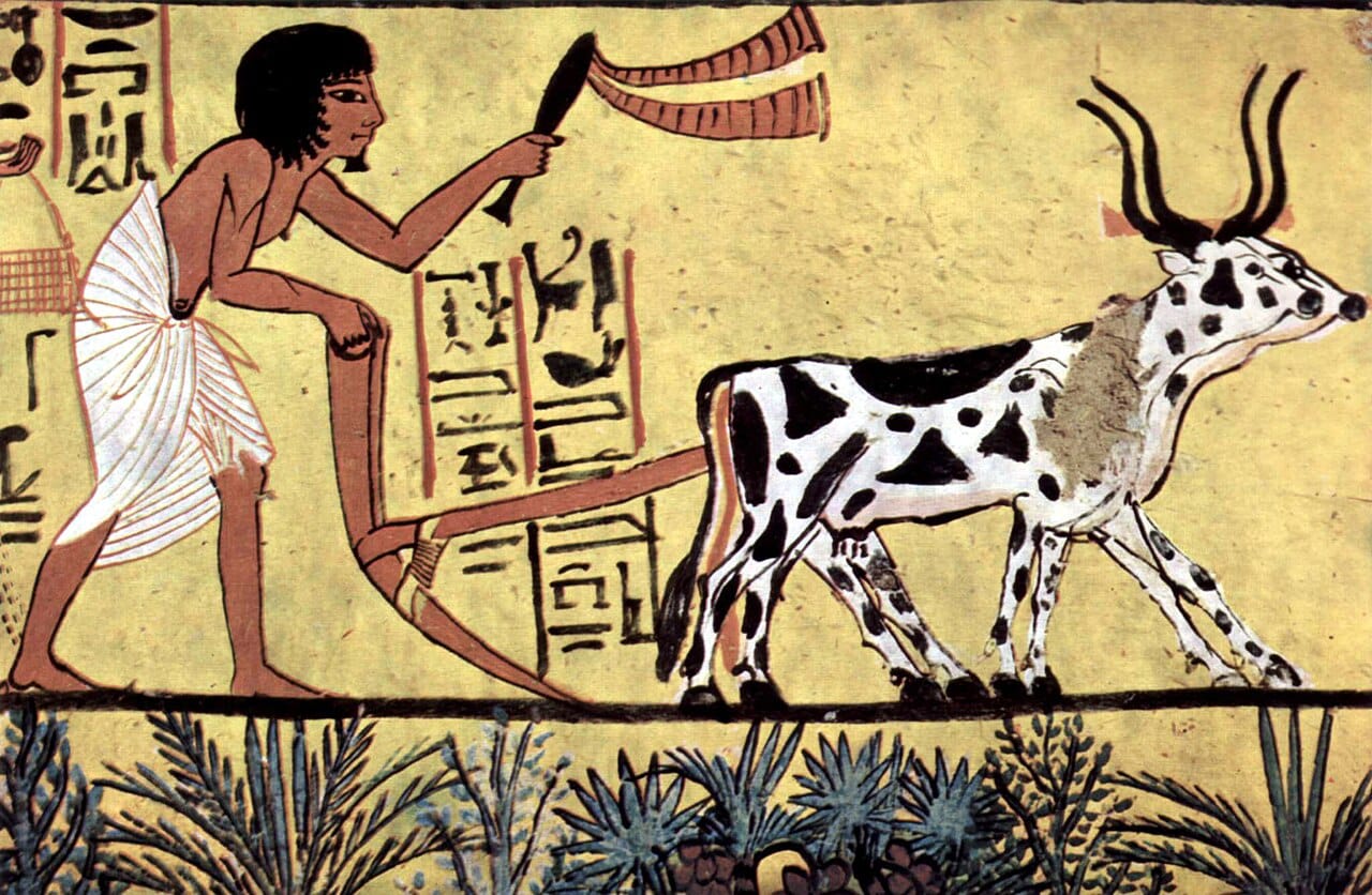 Agriculture in an ancient Egyptian tomb painting. Yields per hectare changed remarkably little between antiquity and the twentieth century, which is the scale against which the Green Revolution should be read.