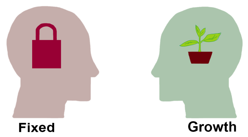 The fixed and growth contrast as usually presented. The theory's prediction concerns how each belief frames failure: as evidence of a limit, or as the mechanism of improvement.