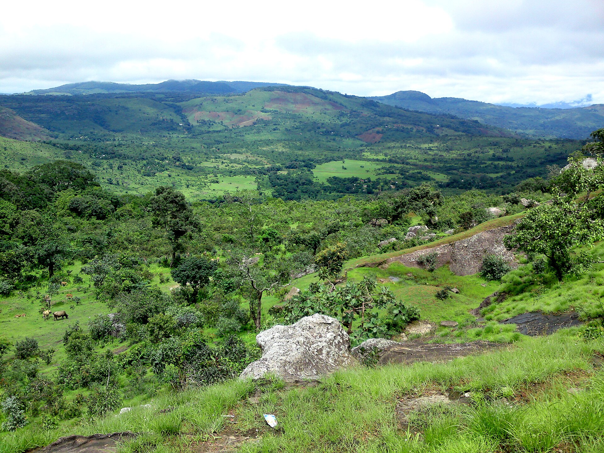 The Fouta Djallon highlands in central Guinea, the source of several of West Africa's great rivers. Credit: Maarten van der Bent (CC BY-SA 2.0).