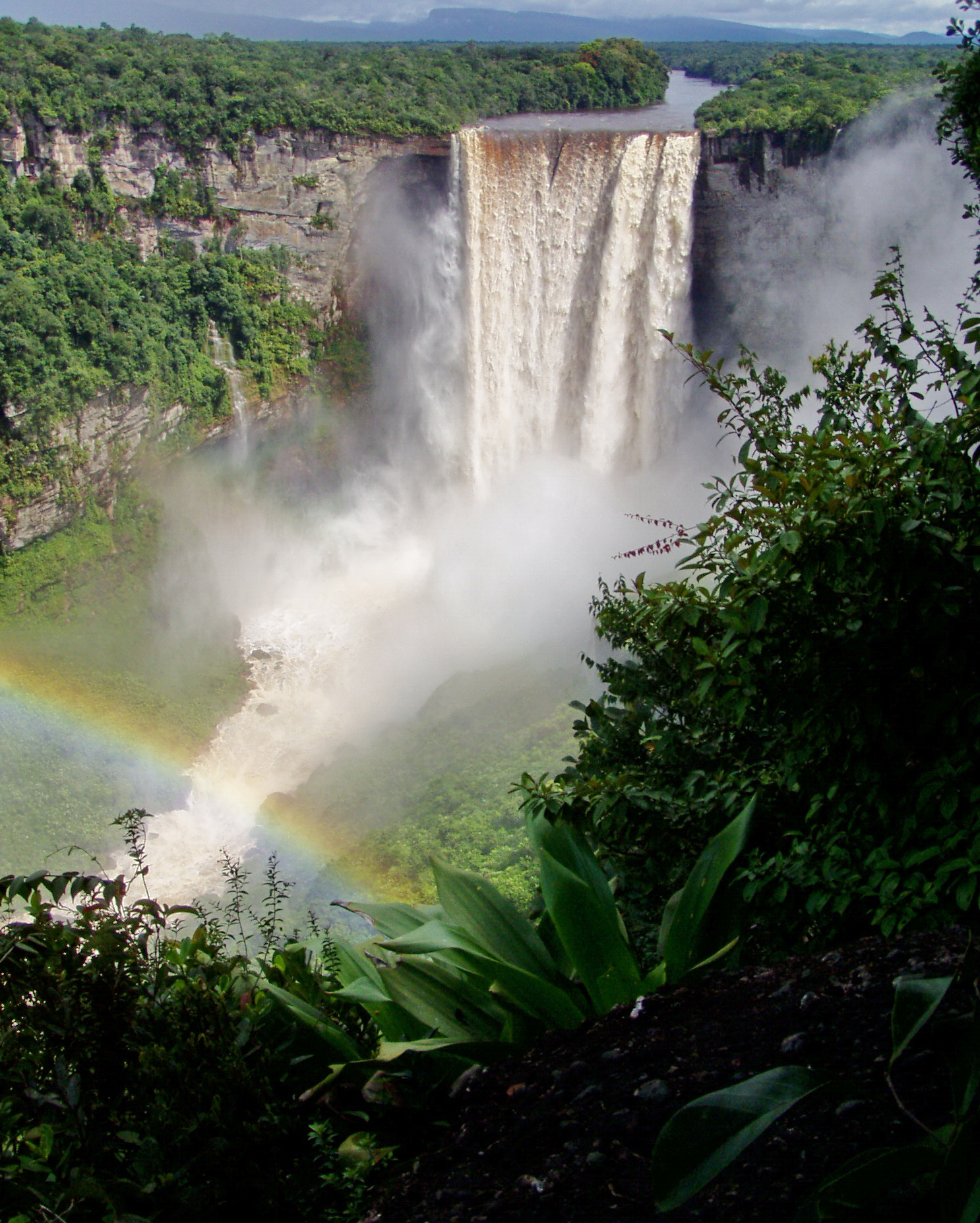 Kaieteur Falls, deep in Guyana's rainforest, one of the most powerful single-drop waterfalls in the world, nearly five times the height of Niagara. Most of the country is covered by pristine forest, part of the great Amazon wilderness.
