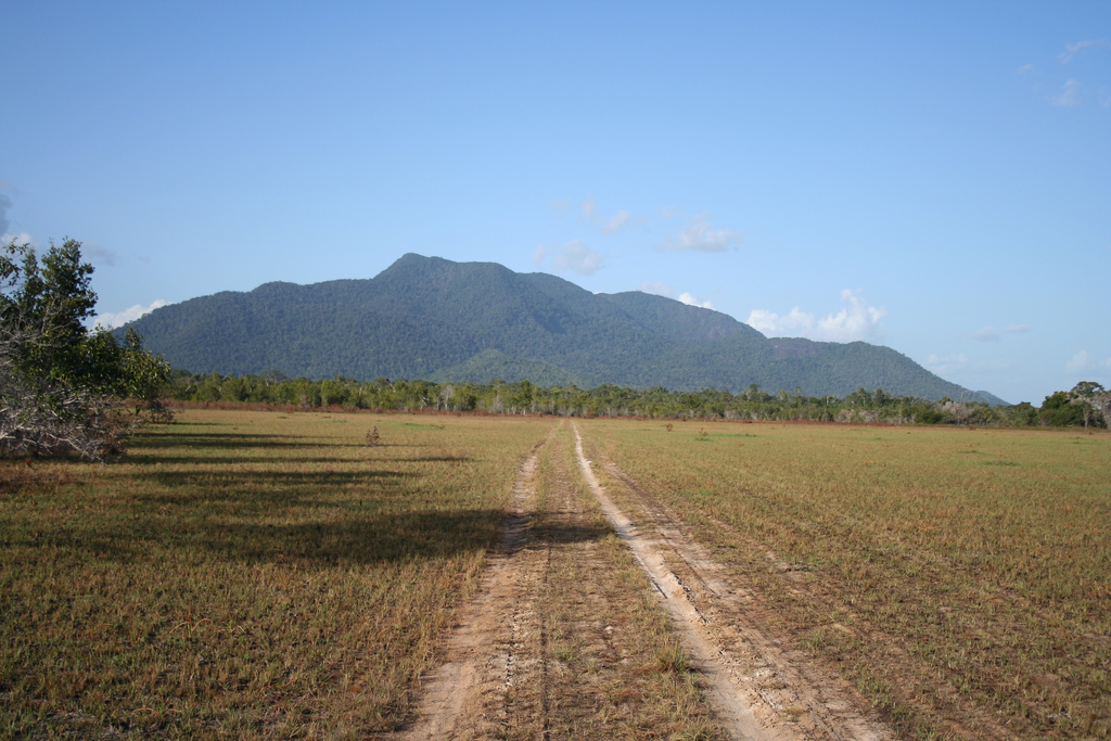 The Rupununi savanna of southern Guyana, a vast grassland of cattle ranches and indigenous communities. Beyond the crowded coastal strip, the interior is a sparsely peopled wilderness of forest, savanna, and highland.