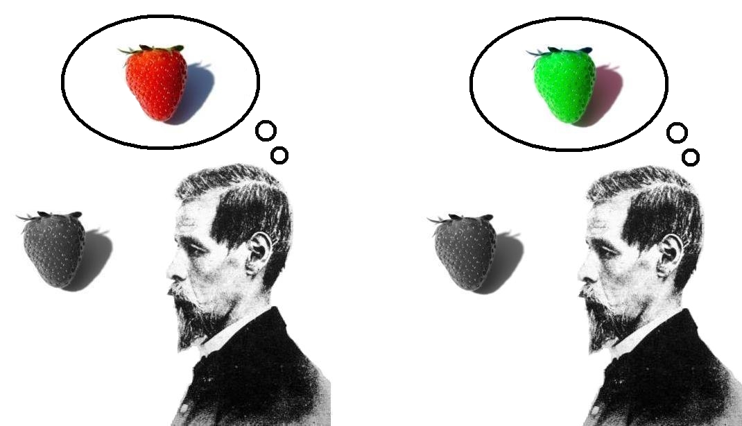 Brain activity can be mapped in detail, but mapping is not the same as explaining experience.