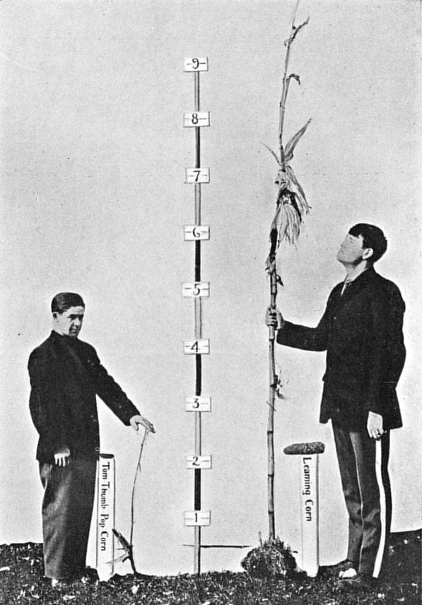 Alfred Binet, who devised the first practical intelligence test in 1905 to identify children needing additional help, and who warned explicitly against treating the resulting number as a fixed measure of a person's capacity.