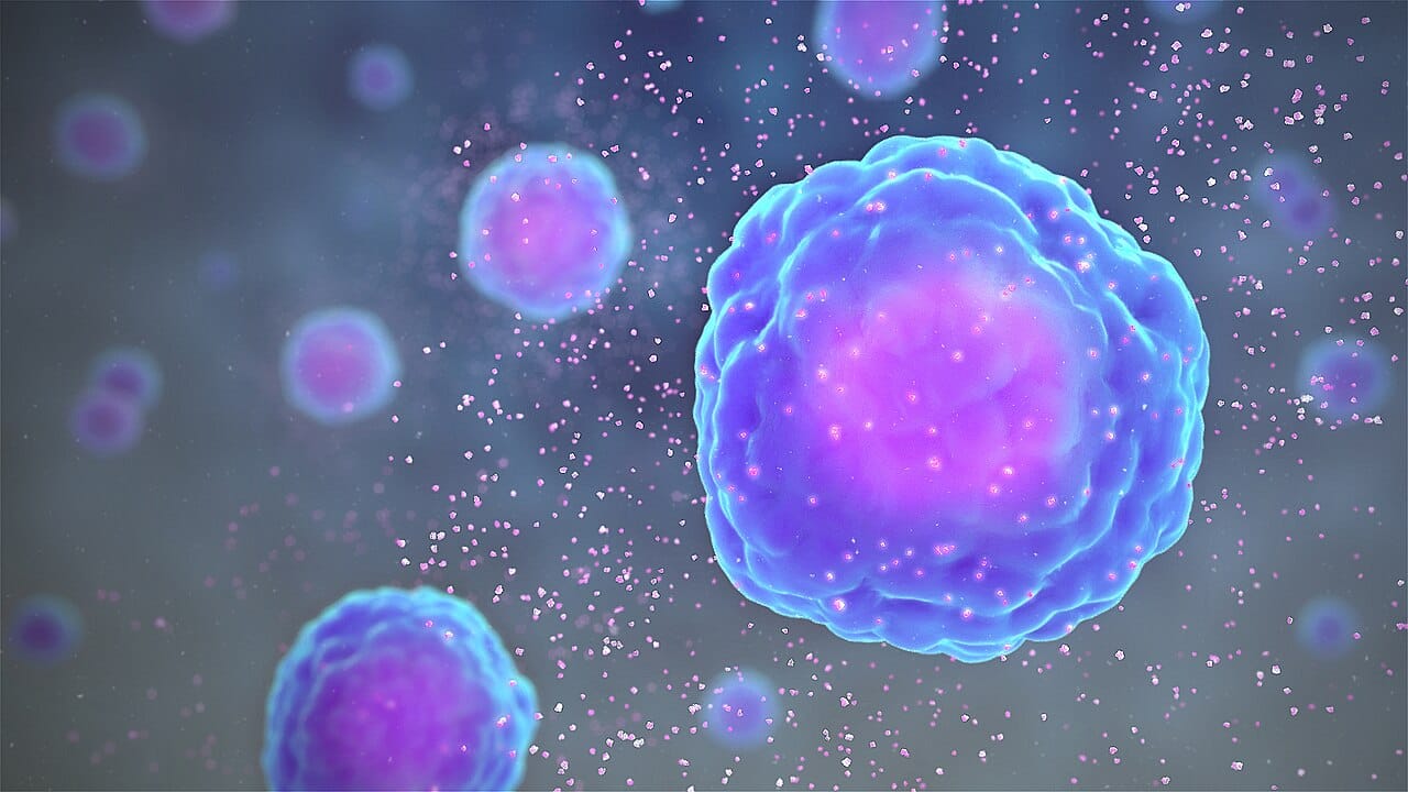Cytokine release. Peripheral inflammatory signals reach the brain by several routes and alter neurotransmitter metabolism and neural function.