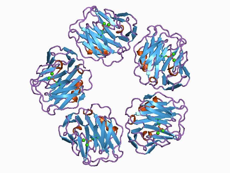 C-reactive protein. Elevated levels above about 3 milligrams per litre are the marker most used to define the inflammatory subgroup.