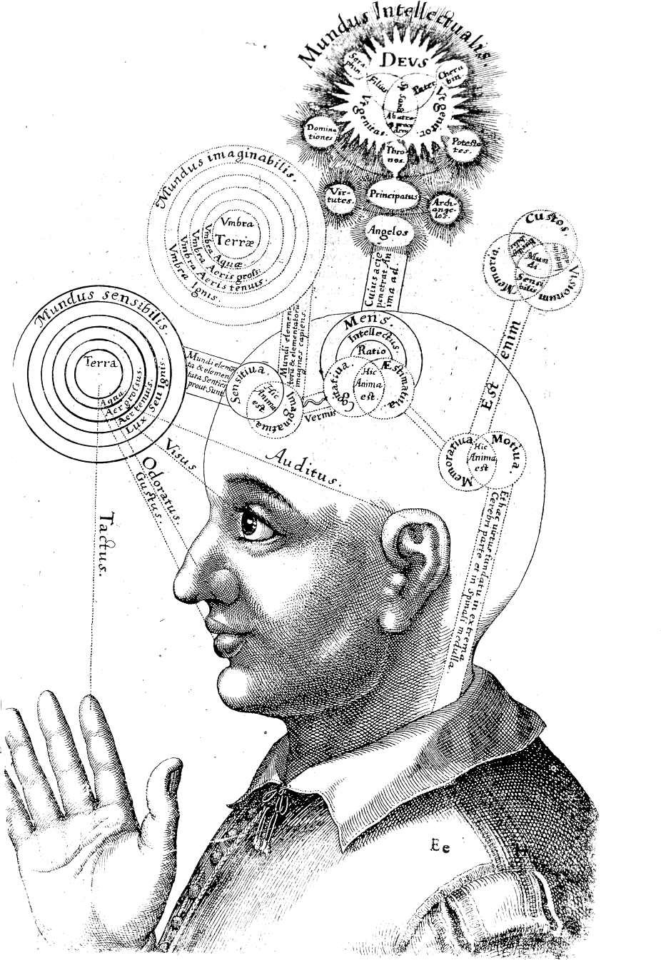 A seventeenth-century diagram of consciousness. The subject has been argued about for centuries; the adversarial collaboration was an attempt to make the argument settleable.