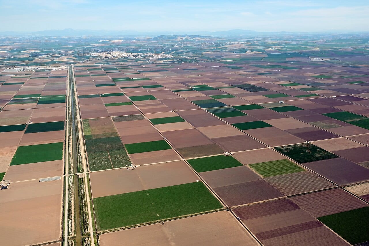 Irrigated fields. The pattern of cultivation follows the delivery system, which is why irrigated landscapes are visually distinct from rain-fed ones.