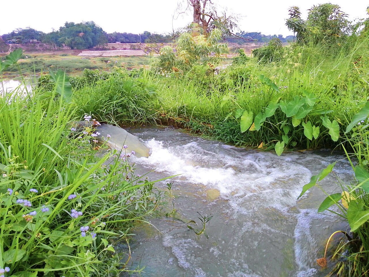Pumped irrigation from a river. Access to a surface source and a pump converts land that could not be cropped into land that can.