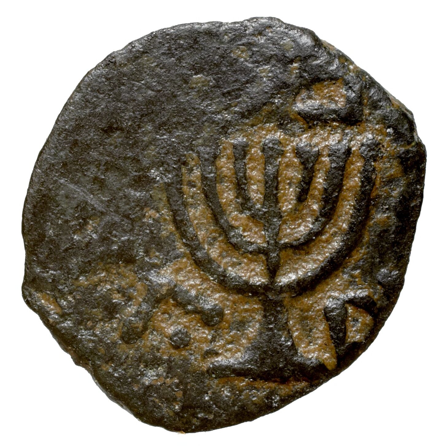 A bronze coin of the Hasmonean king Antigonus II, struck in Jerusalem in the first century BC, showing the seven-branched Temple menorah. The Hasmoneans ruled the last major independent Jewish kingdom of antiquity.