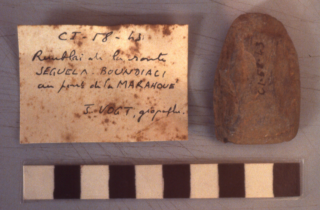 A polished stone tool from northern Ivory Coast, evidence of the region's deep prehistoric past long before the kingdoms and trading states that later flourished across the land.
