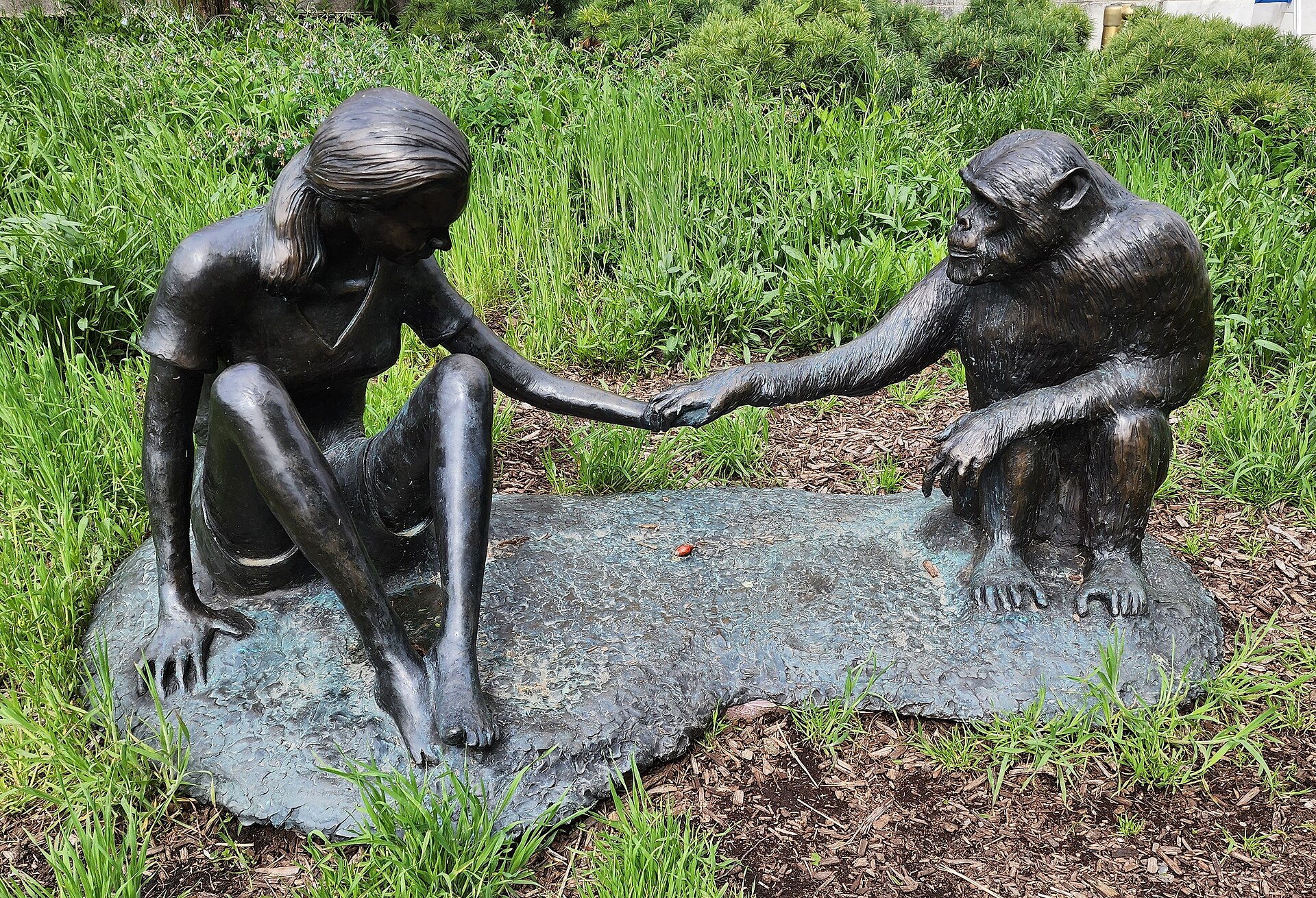 A sculpture of Jane Goodall with the chimpanzee David Greybeard.