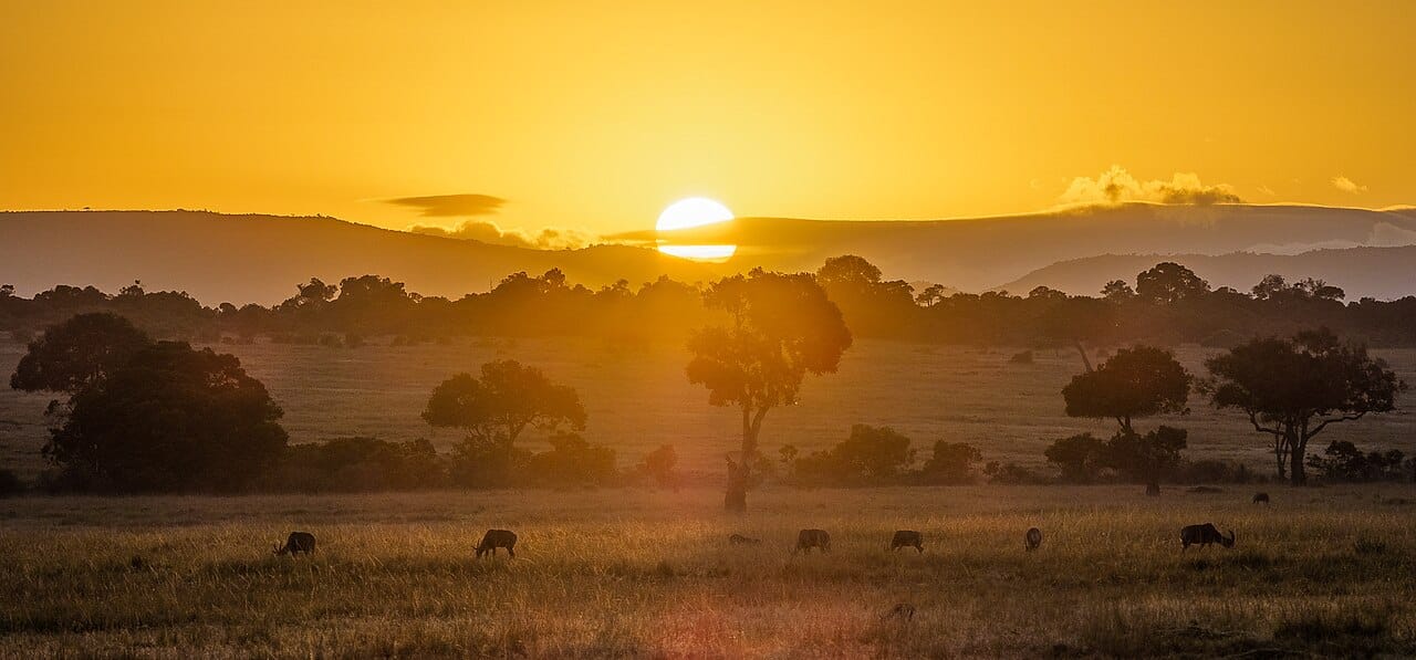 The savanna of the Maasai Mara at sunset. These plains, home to lions, elephants, and the great annual wildebeest migration, are among the most famous wildlife reserves on Earth and a mainstay of Kenyan tourism.