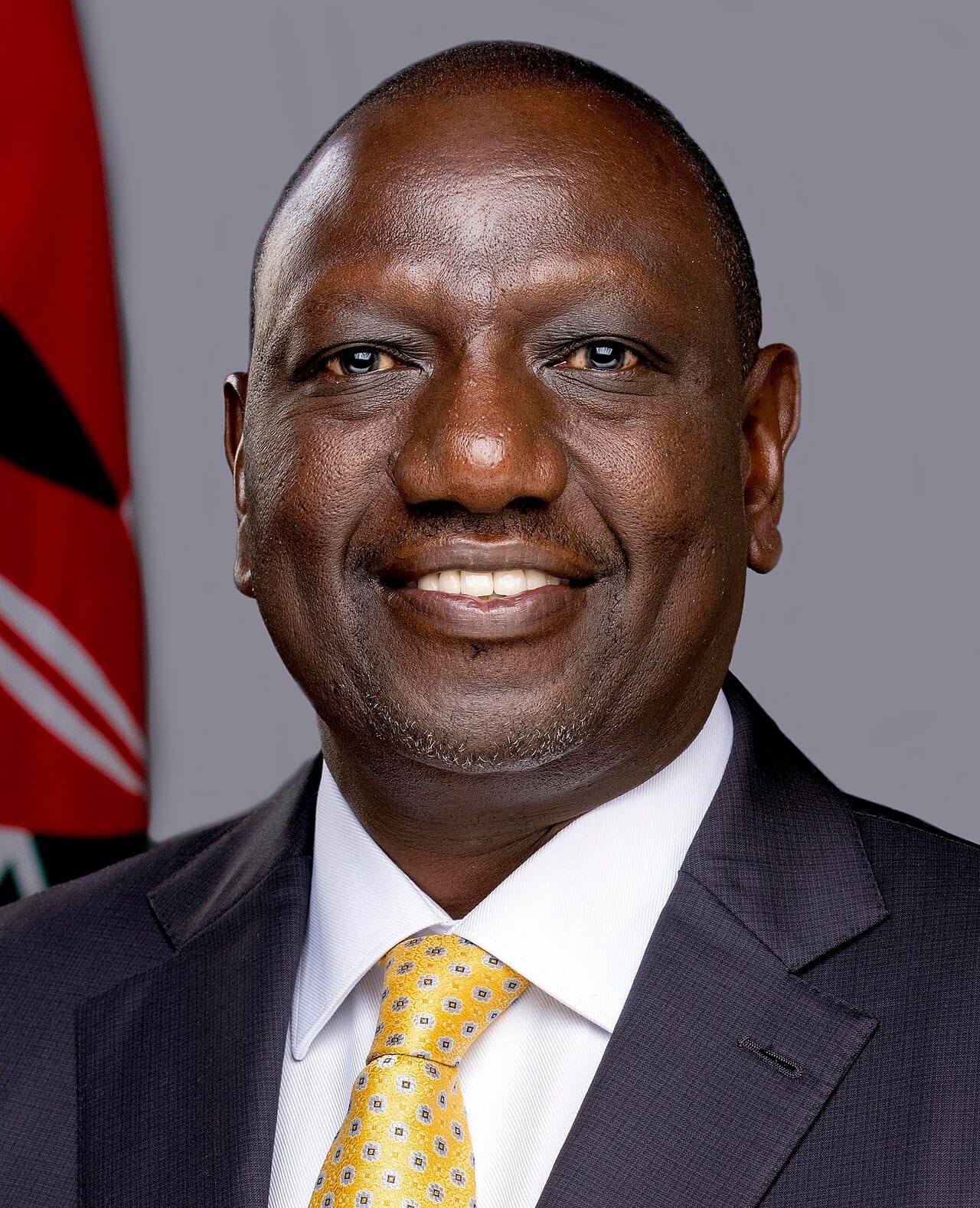 William Ruto, president of Kenya since 2022. Kenyan politics is democratic and fiercely competitive, though often organised around ethnic loyalties and marked by hard-fought and sometimes disputed elections.