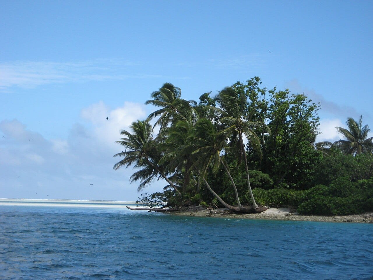 A low coral islet in Kiribati, its palms rising only a few metres above the sea. With no high ground anywhere in the country, islands like this are acutely exposed to rising seas, storm surges, and the salting of their fresh water.