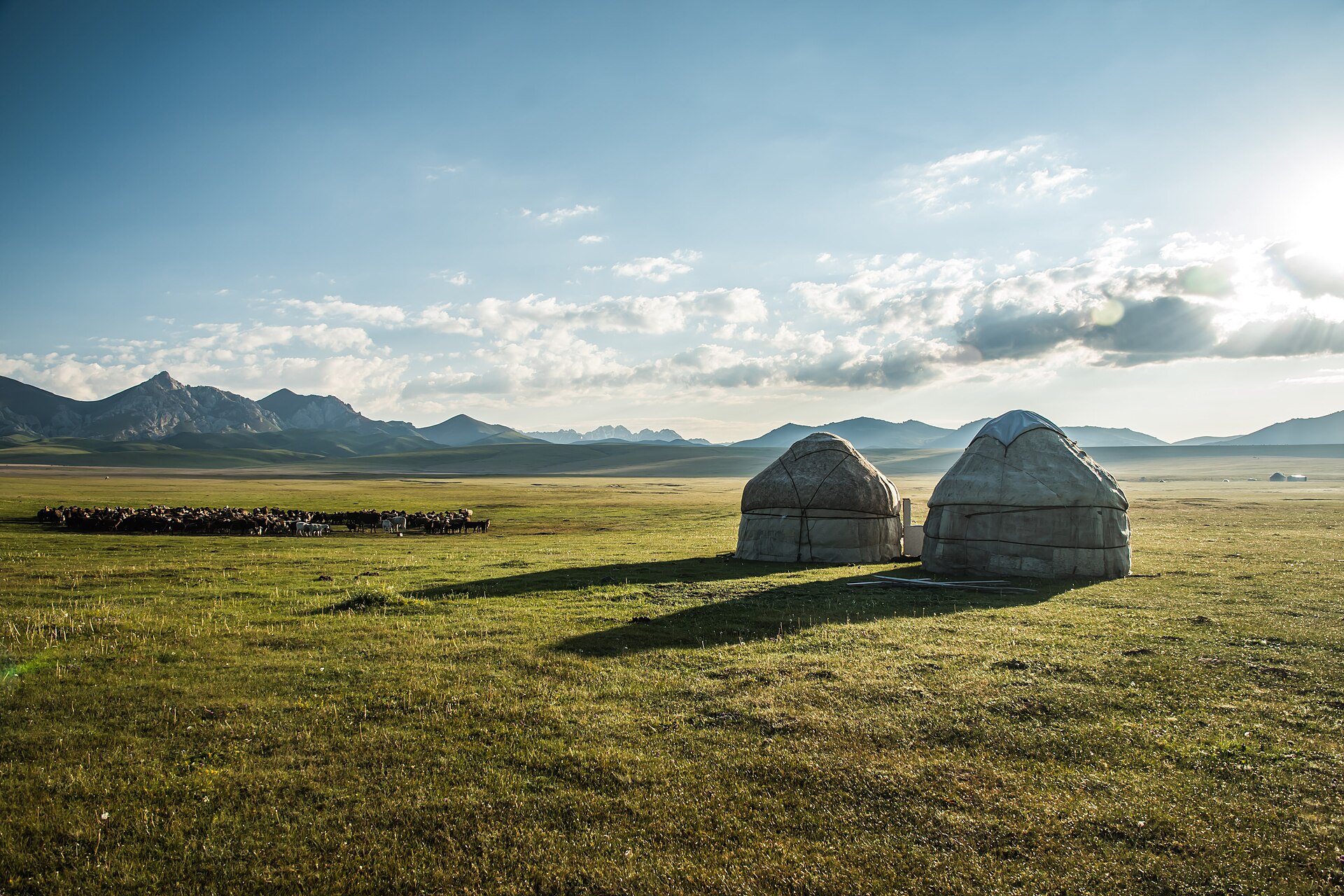 A camp of yurts, the round felt tents that have housed the nomads of the region for centuries. Easily moved between pastures, the yurt remains a cherished symbol of Kyrgyz identity, its crown depicted on the national flag.