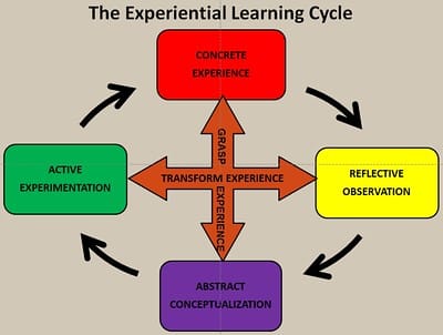 David Kolb's experiential learning model, one of the many style frameworks in circulation. Estimates put the number of distinct published models at over seventy, and they do not agree with one another.