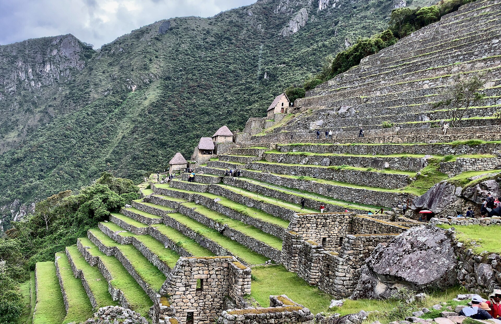 The agricultural terraces, the andenes, that step down Machu Picchu's slopes, controlling erosion and water. Credit: F Delventhal (CC BY 2.0).