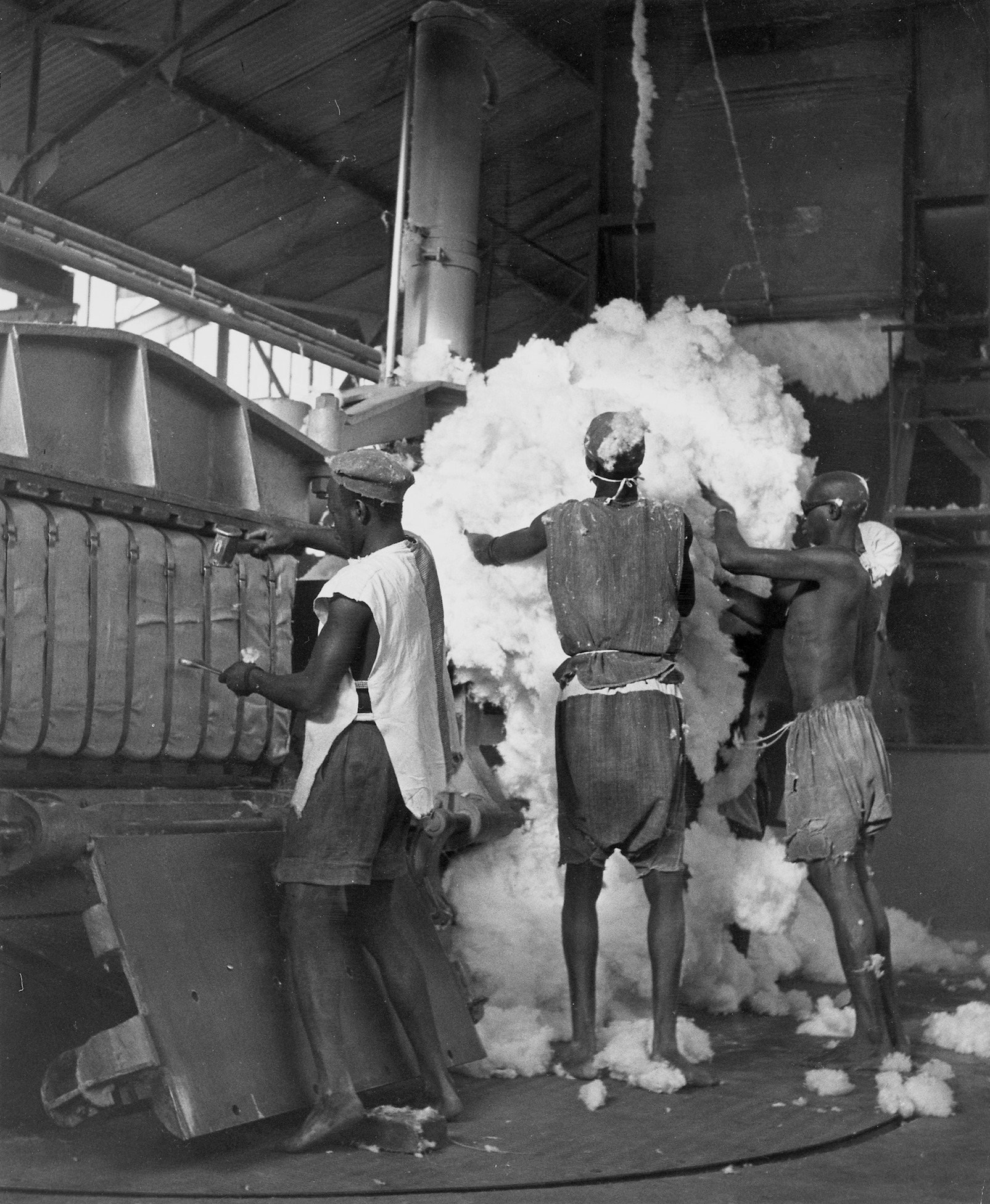 Cotton being pressed into bales at Niono for export. Cotton is Mali's leading cash crop and, along with gold, one of the mainstays of an economy in which most people still live by farming and herding.