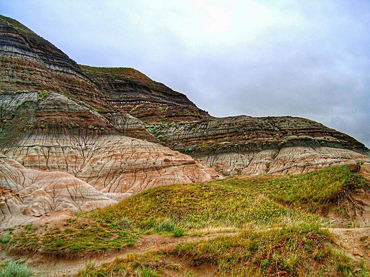The boundary layer at the end of the Cretaceous. The thin clay band contains elevated iridium worldwide, which is the evidence that identified an asteroid impact.