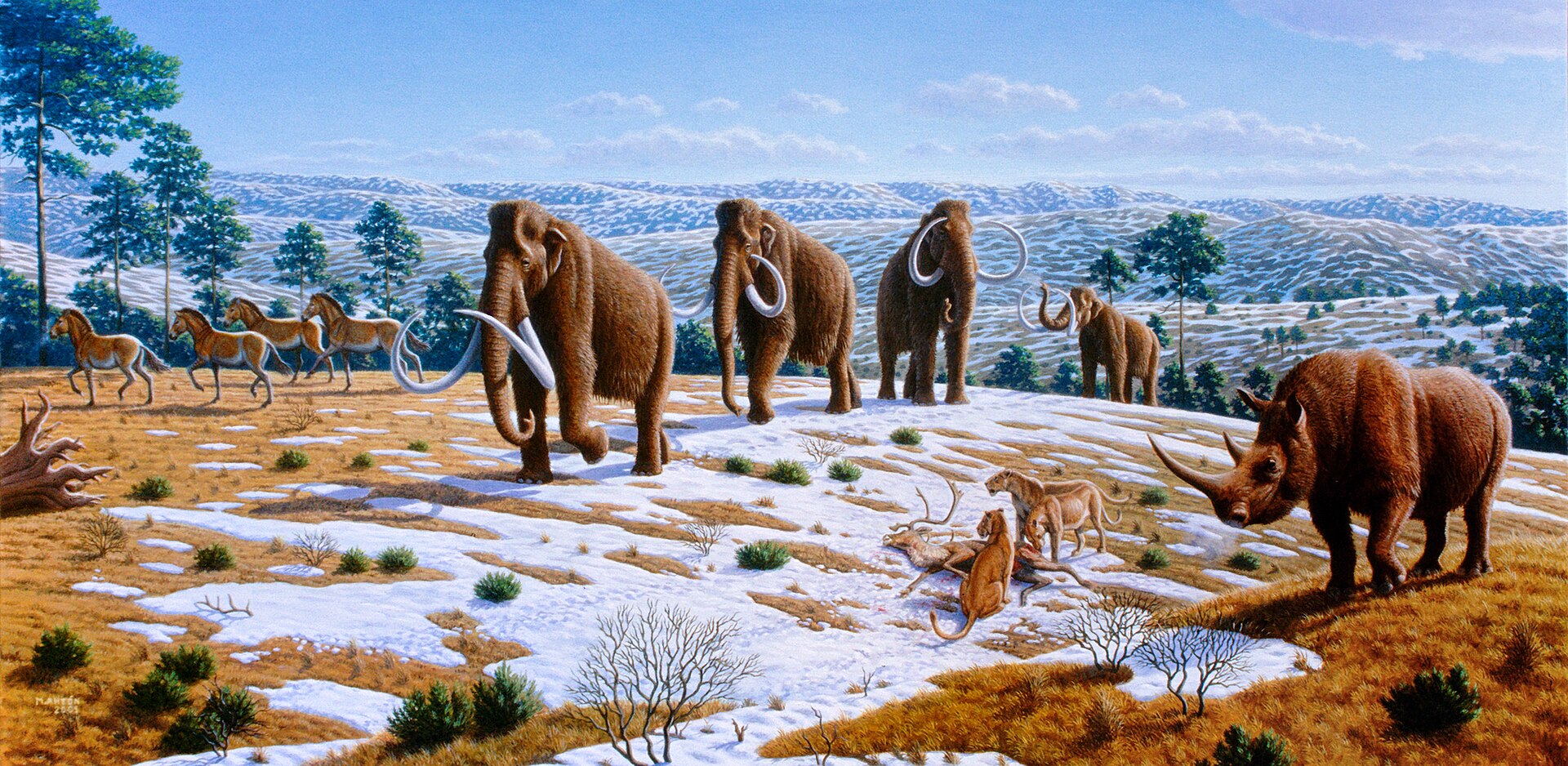 A mural of the great mammals that roamed before the ice age extinctions.