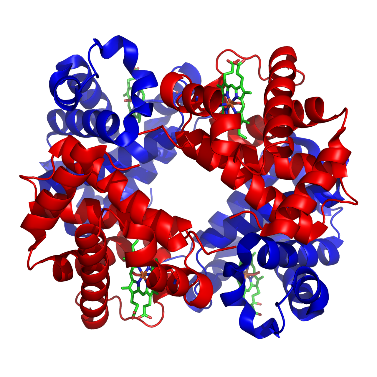 Haemoglobin. Delivering oxygen to tissue is a prerequisite for the largest part of metabolic energy production, which is why oxygen transport and metabolism are inseparable.