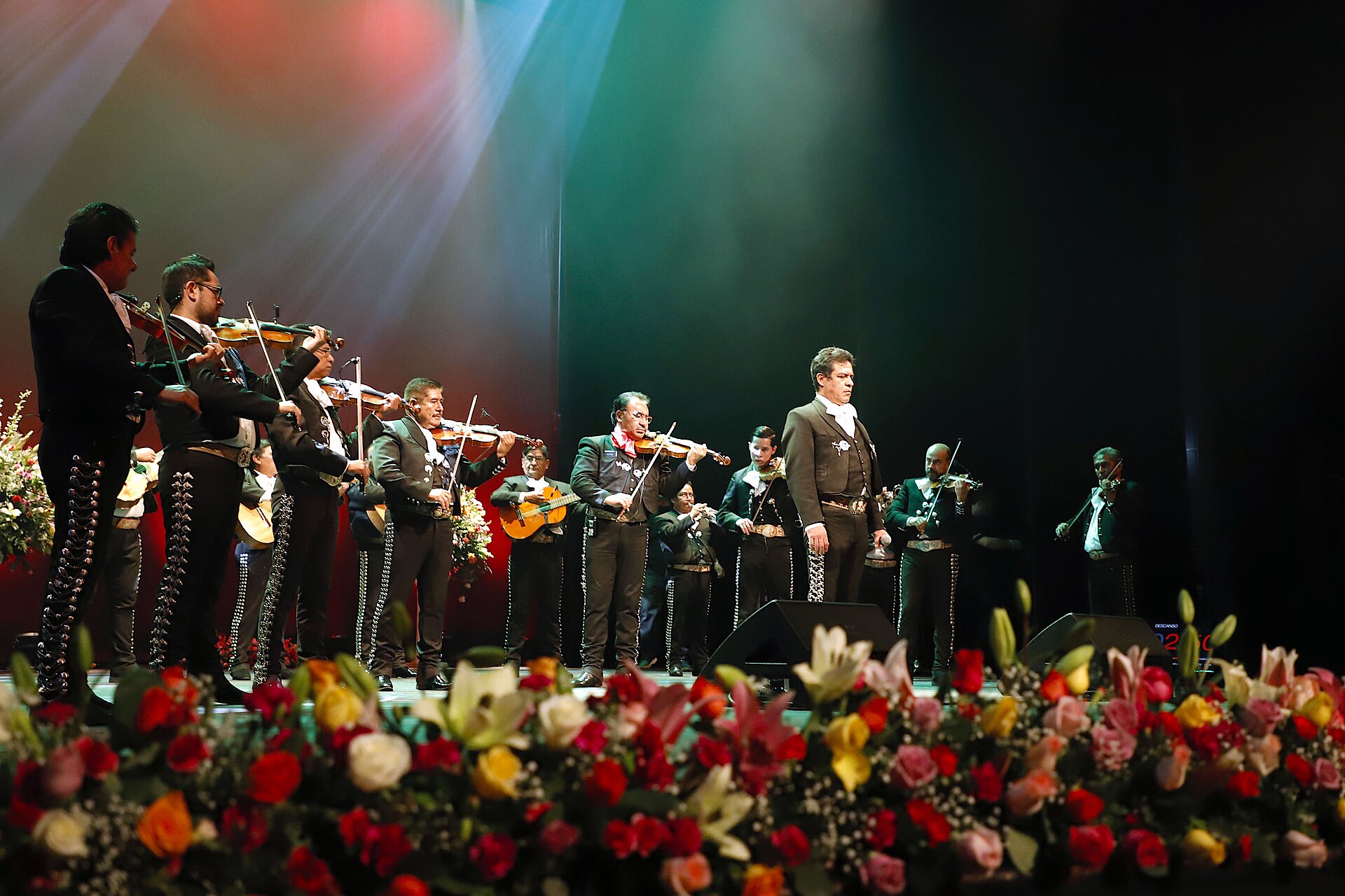 A mariachi ensemble. Born in western Mexico, the bands of violins, trumpets, and guitars are one of the country's best-loved traditions and recognised by UNESCO as cultural heritage.