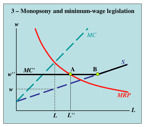 The monopsony model. Where employers have wage-setting power, a minimum wage set within a range can raise both wages and employment, which the competitive model cannot produce.