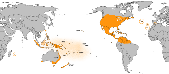 The distribution of the monarch, including the eastern and western North American migratory populations and the non-migratory populations established elsewhere.