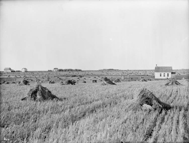 An early view of farms and a school near Morden. The surrounding district was settled largely by Ontario British and later Mennonite farmers.