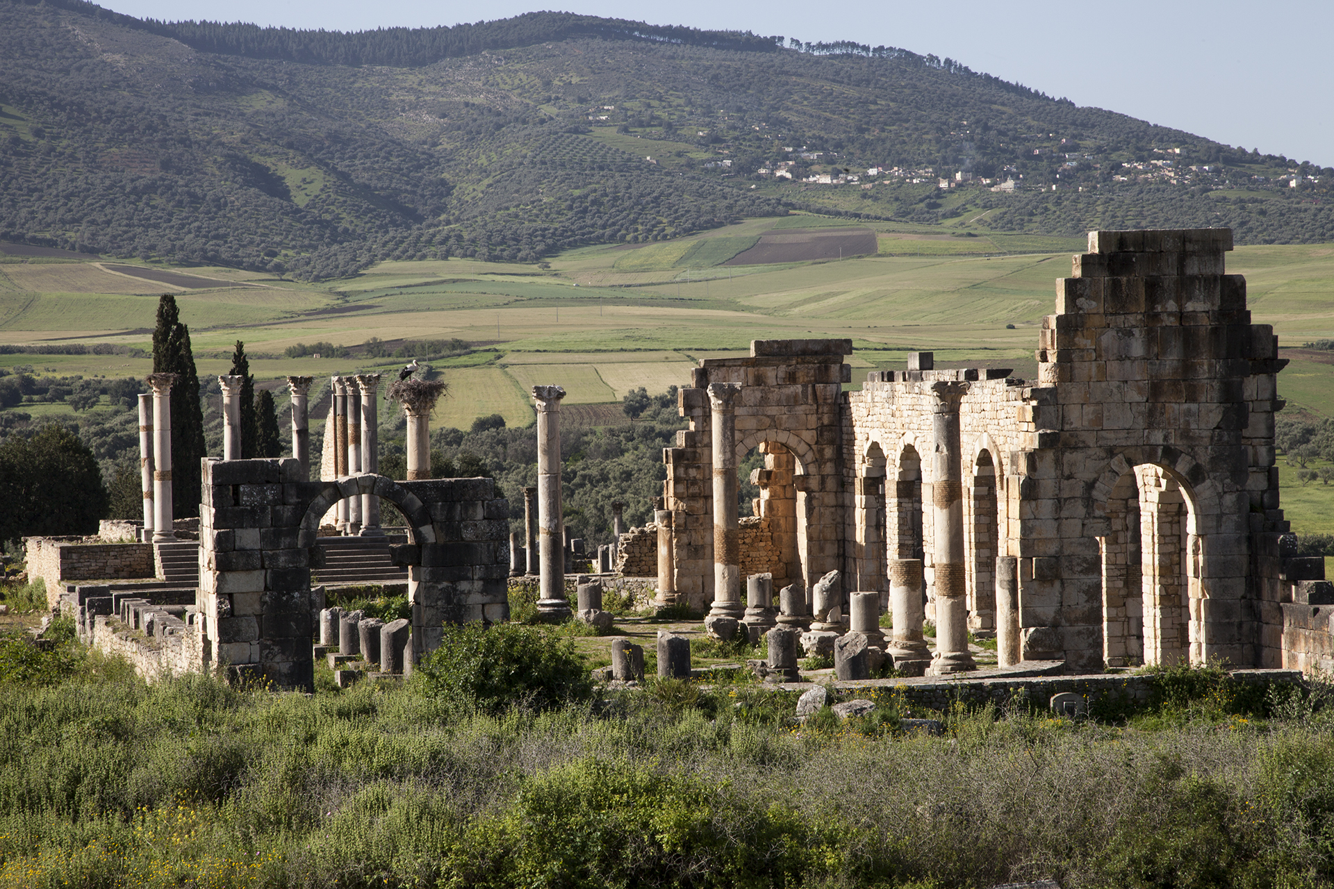 The Roman ruins of Volubilis, once a thriving city on the empire's North African frontier. Credit: Subhros (CC BY-SA 3.0).