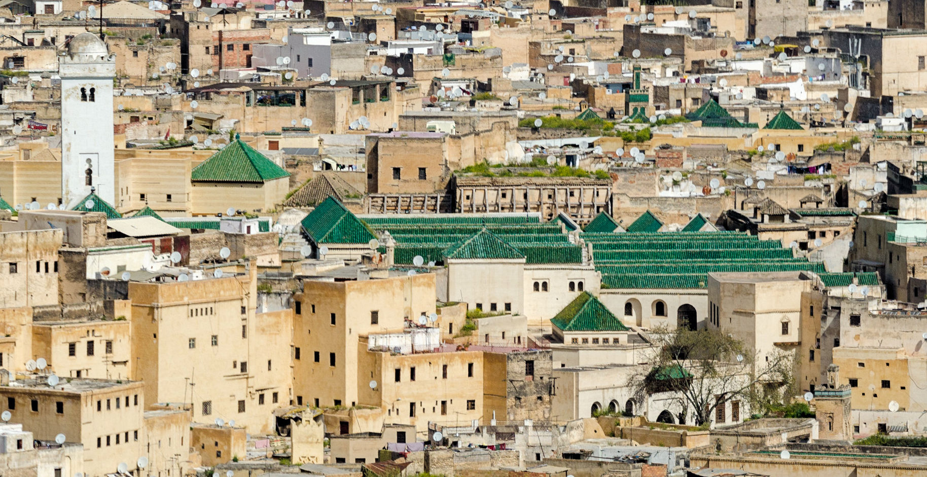 The al-Qarawiyyin mosque and university in Fes, founded in the ninth century and a historic centre of learning. Credit: xiquinhosilva from Cacau (cropped by Robert Prazeres (CC BY-SA 4.0).