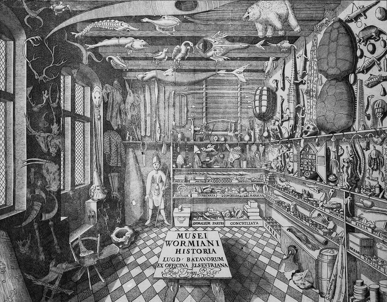 A cabinet of curiosities of 1655. Collections of this kind mixed natural specimens, antiquities and objects of wonder without the categories that later separated them.