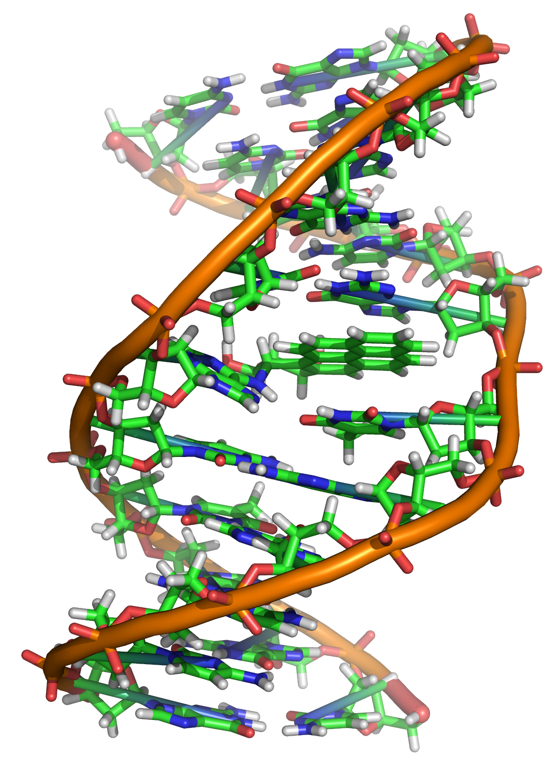 A chemical bound to DNA, distorting the double helix. Mutagens act by damaging bases or by inserting between them, and the damage becomes a mutation when it is copied or repaired incorrectly.