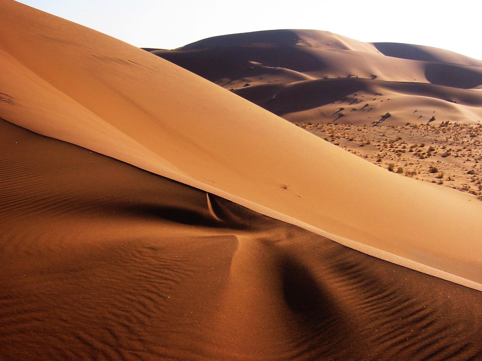 The towering dunes of the Namib, one of the oldest deserts in the world, which gives the country its name. Credit: Thomas Schoch (CC BY-SA 3.0).