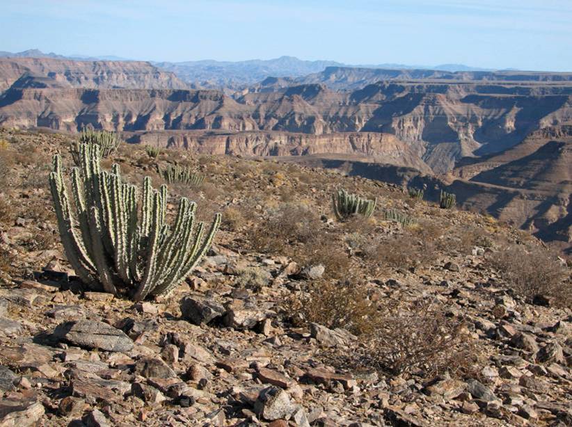 The Fish River Canyon in southern Namibia, one of the largest canyons in the world. Between its two great deserts, the country holds dramatic gorges, highlands, and a wild, fog-shrouded Atlantic shore.