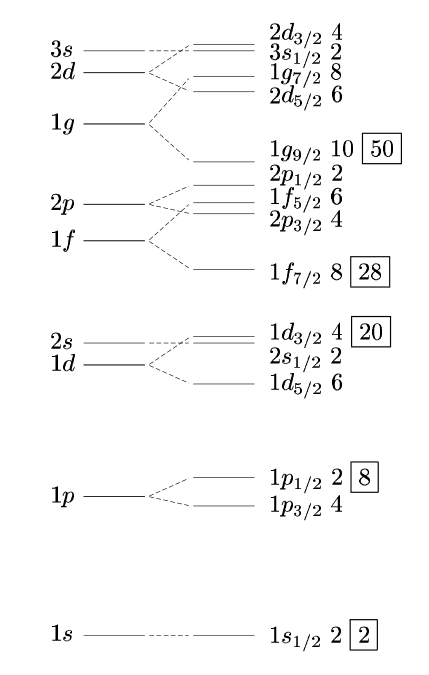Energy levels in a single-particle shell model. Nucleons fill these levels in order, and a filled shell corresponds to an unusually stable nucleus.