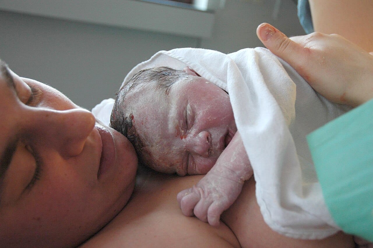 A newborn shortly after delivery. That human birth is difficult is not in dispute; why it is difficult is where the hypothesis has not held up.