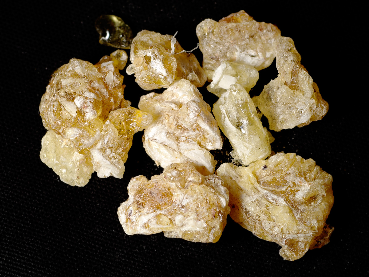 Lumps of frankincense, the fragrant resin harvested from Boswellia trees in southern Oman. Burned as incense and prized since antiquity, it was the foundation of the region's ancient wealth and remains an emblem of the country.
