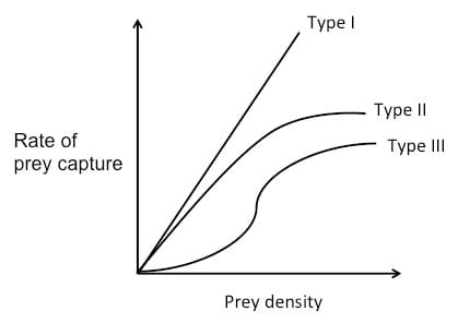 Functional response curves relating intake rate to prey density. The shape of the curve distinguishes foragers limited by search from those limited by handling time or by learning.