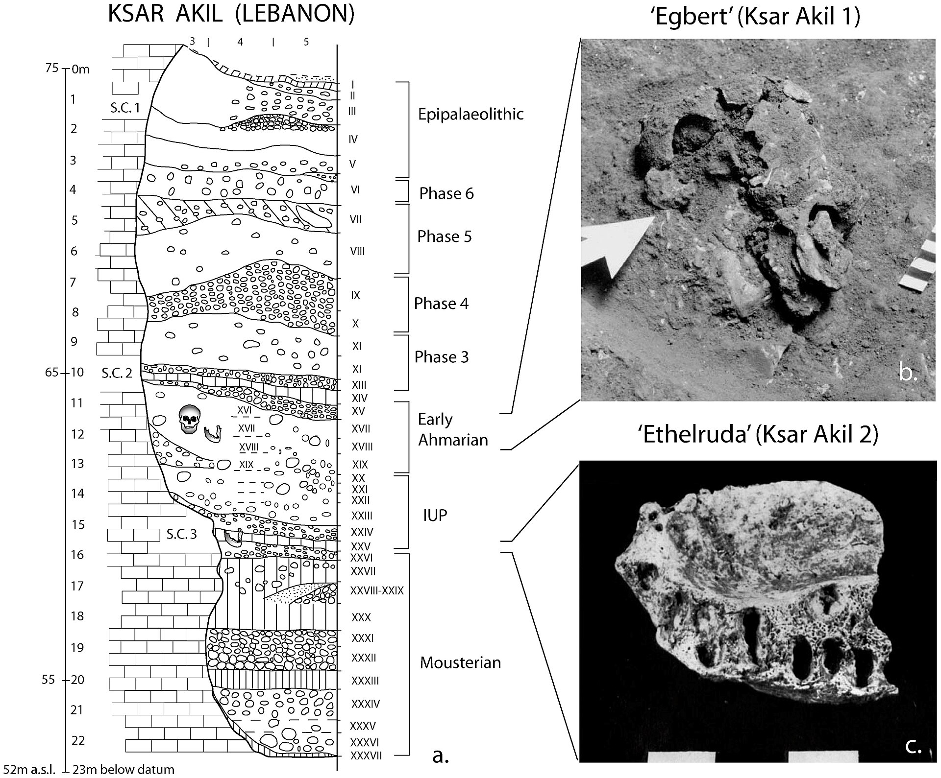 Layers of sediment at an ancient site, recording the long human journey.