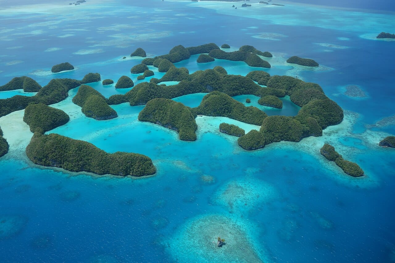 The Rock Islands of Palau, a maze of rounded, forest-topped limestone islets rising from turquoise lagoons. A World Heritage site of extraordinary beauty, they are the heart of Palau's fame as a diving destination and a pioneer of ocean conservation.