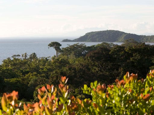 The town of La Palma in Darien province, gateway to the wild Darien rainforest toward Colombia. This roadless jungle, which breaks the Pan-American Highway, has in recent years become a perilous corridor for migrants heading north.