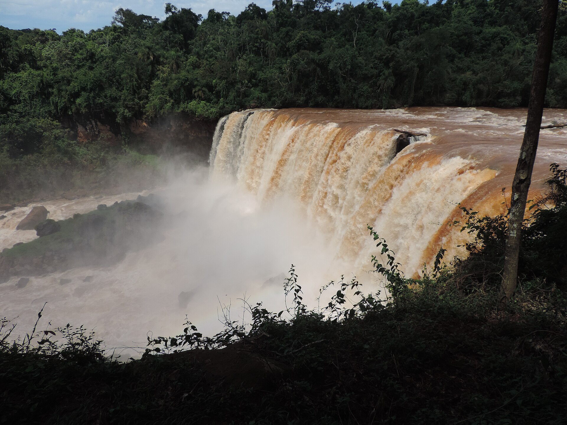 A protected area of forest in southern Paraguay, in the greener, more populous eastern half of the country. Credit: Rodney Damián (CC BY-SA 3.0).